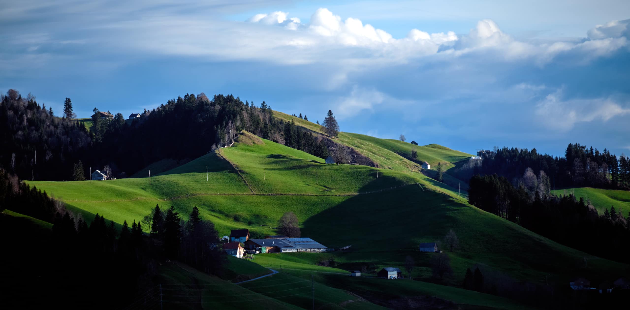 Nachhaltigkeit - Sustainability. Green winter in Switzerland
